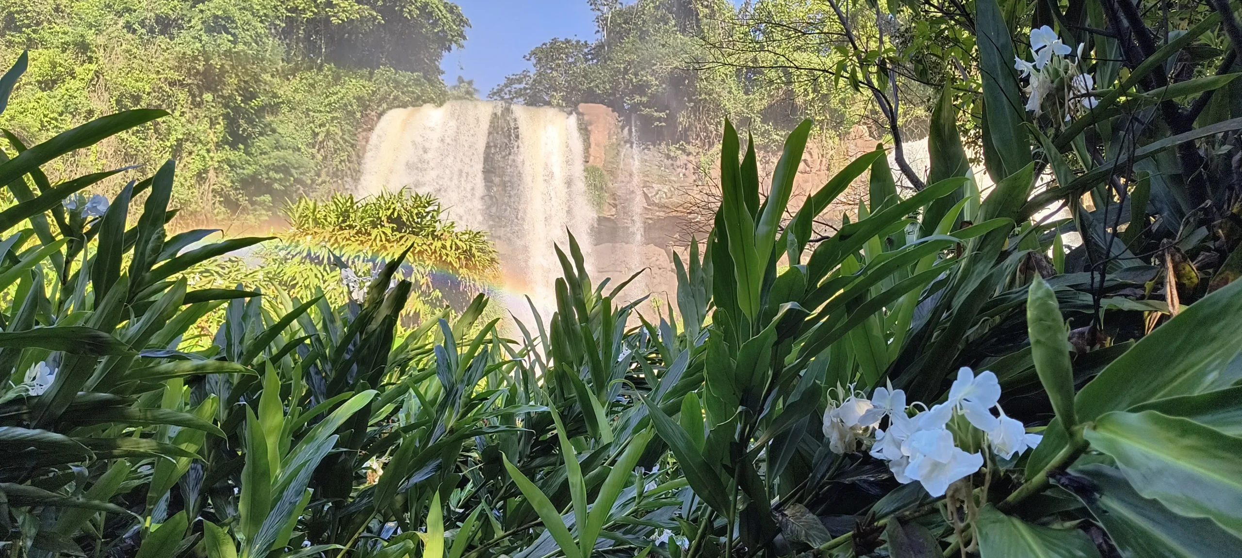 Iguazu Falls with a vibrant rainbow over the cascading water, surrounded by lush tropical foliage and white flowers, highlighting the natural beauty of the area with tour guide Miguel.